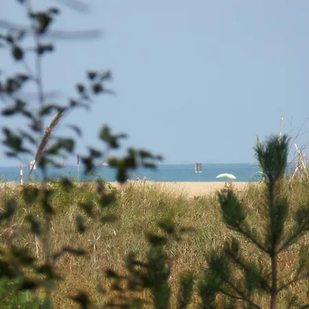 Ferienwohnung Fuer 6 Personen Ca 45 Qm In Bibione, Adriakueste Italien Und Umgebung - B63273